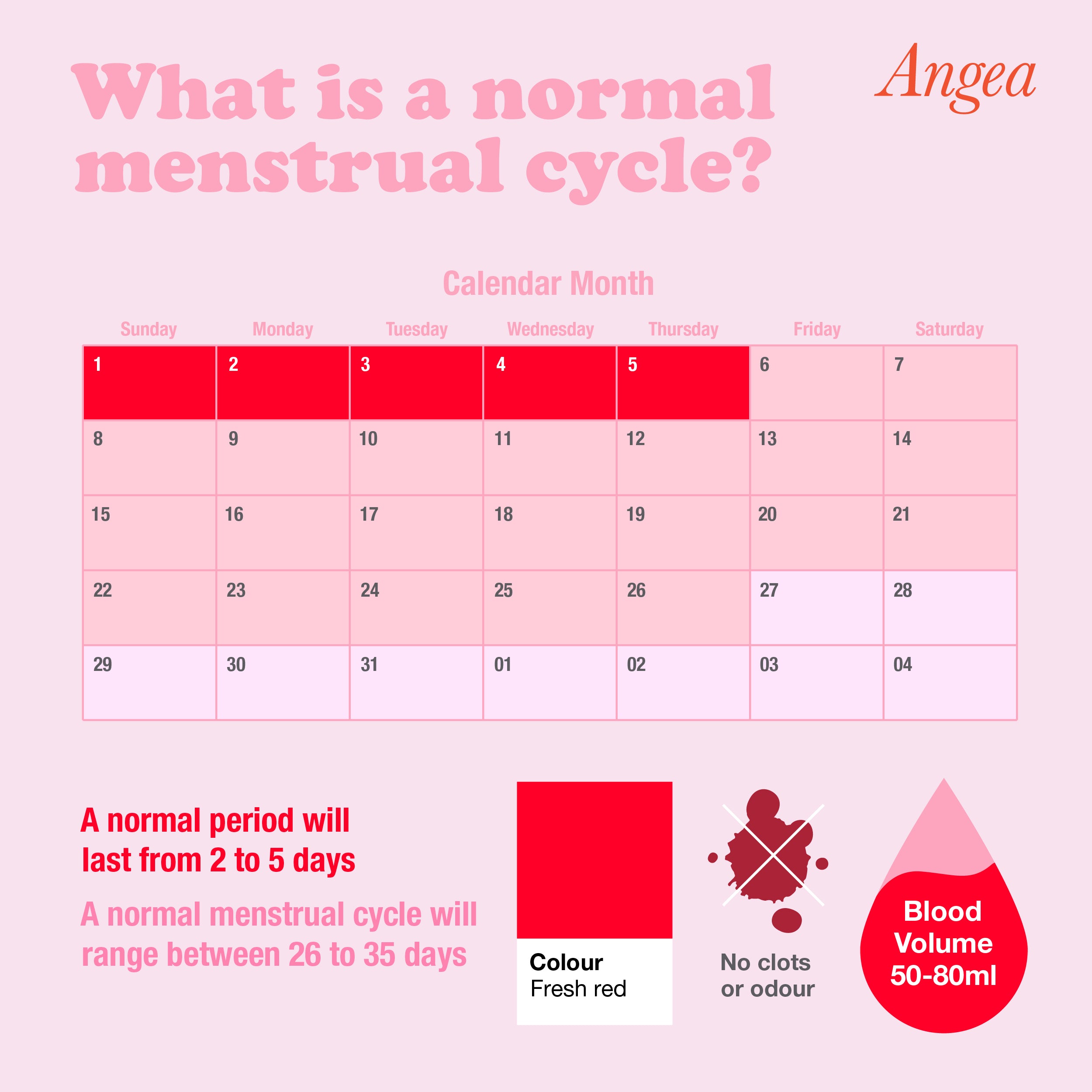 Educational infographic explaining a normal menstrual cycle, hormone changes, ovulation, period health, and women's reproductive wellness.