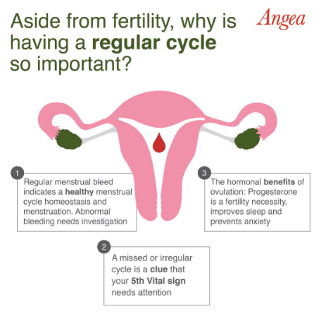 Infographic explaining why a regular menstrual cycle is important for hormone balance, fertility, ovulation, and overall women's health.
