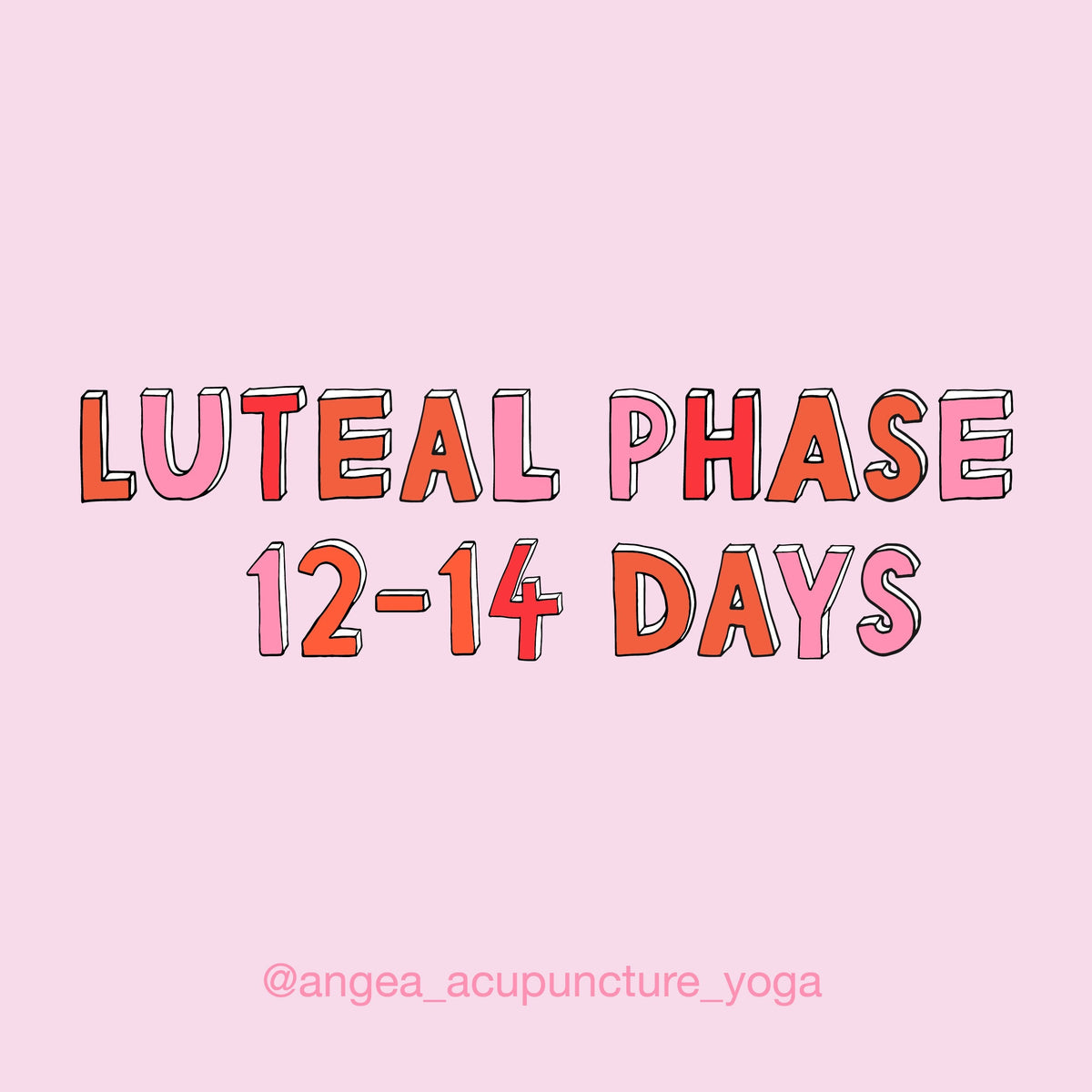 Your Luteal Phase & Pregnancy