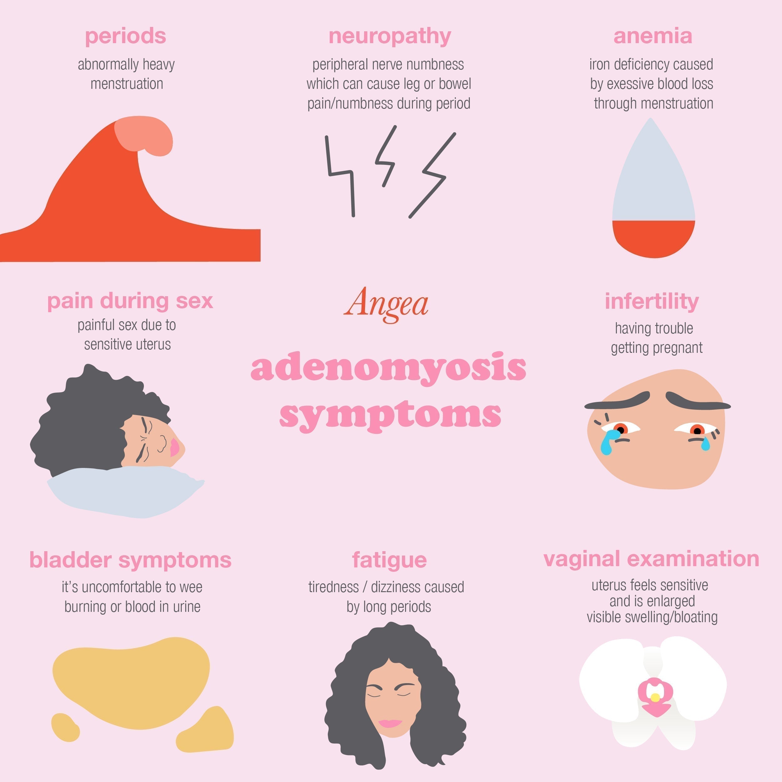 Medical illustration explaining adenomyosis, its effects on the uterus, menstrual pain, heavy bleeding, and women's reproductive health.
