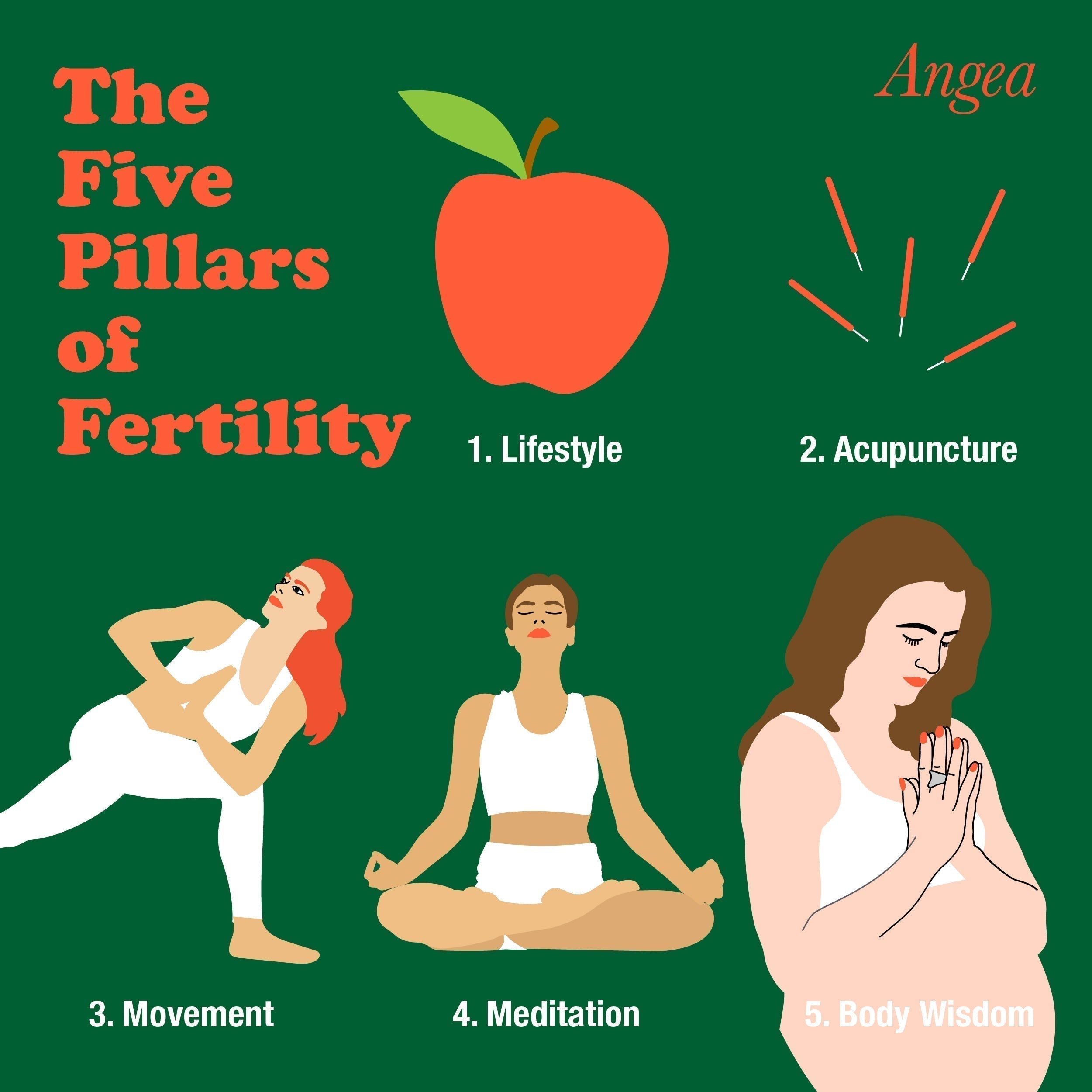 Infographic highlighting the five pillars of fertility, including nutrition, hormone balance, lifestyle, gut health, and reproductive wellness.