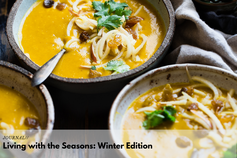 Creamy pumpkin soup topped with noodles, raisins, and fresh parsley for a nourishing winter meal