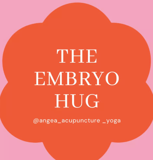 Illustration showing embryo implantation and early pregnancy support for fertility and IVF awareness.